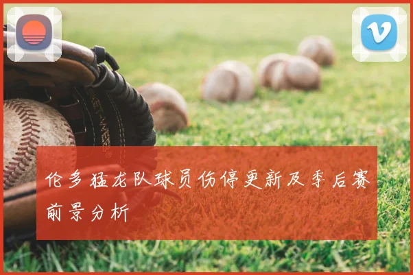 伦多猛龙队球员伤停更新及季后赛前景分析