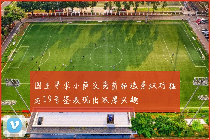 国王寻求小萨交易首轮选秀权对猛龙19号签表现出浓厚兴趣