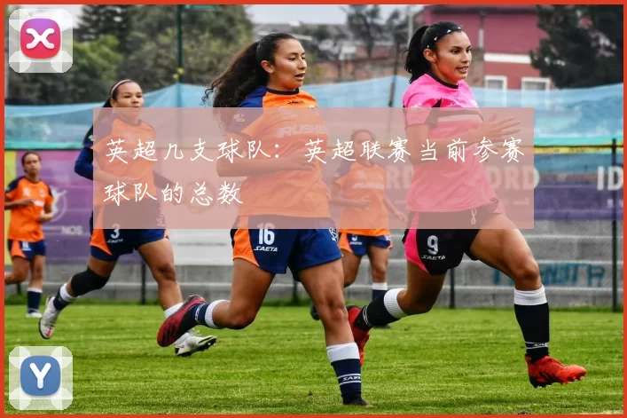 英超几支球队：英超联赛当前参赛球队的总数