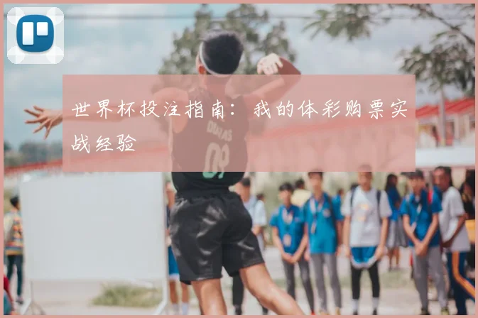 世界杯投注指南：我的体彩购票实战经验