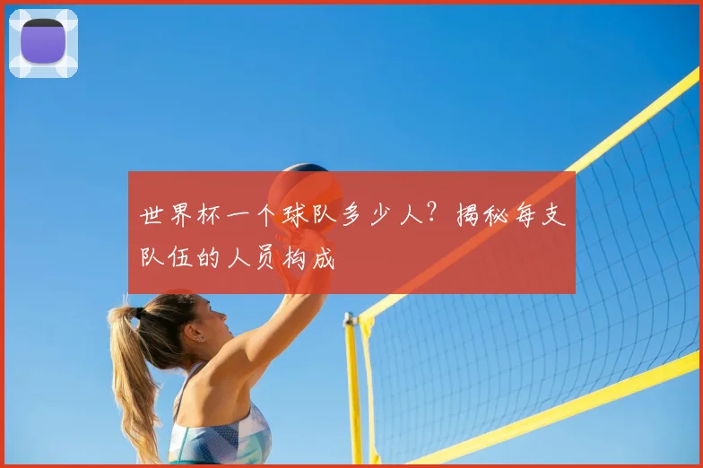 世界杯一个球队多少人?揭秘每支队伍的人员构成