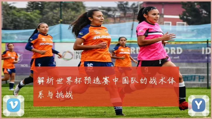 解析世界杯预选赛中国队的战术体系与挑战