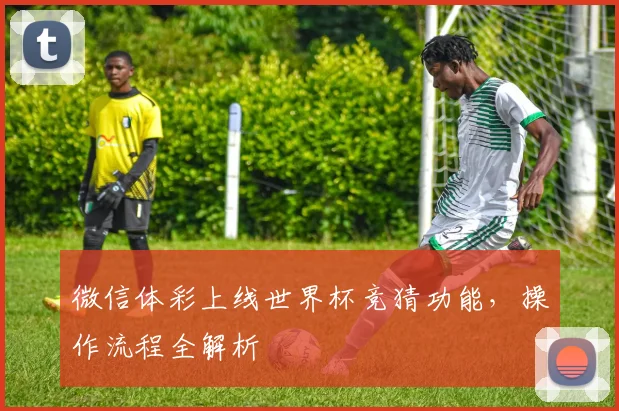 微信体彩上线世界杯竞猜功能,操作流程全解析