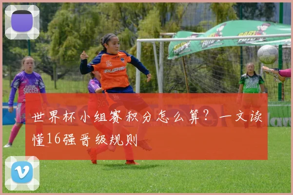 世界杯小组赛积分怎么算？一文读懂16强晋级规则