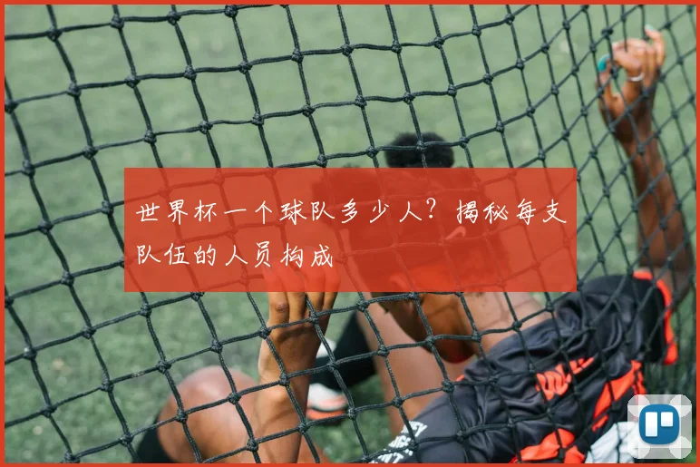 世界杯一个球队多少人?揭秘每支队伍的人员构成