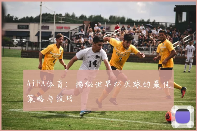 AiFA体育:揭秘世界杯买球的最佳策略与技巧