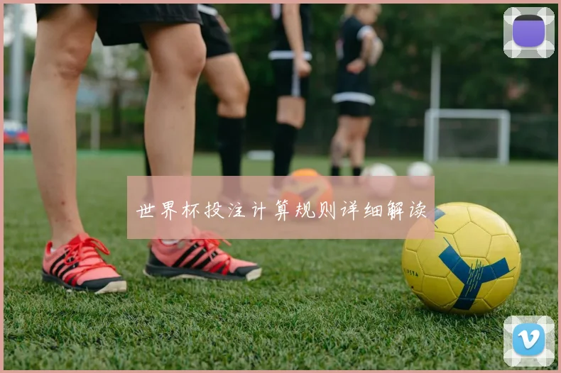 世界杯投注计算规则详细解读
