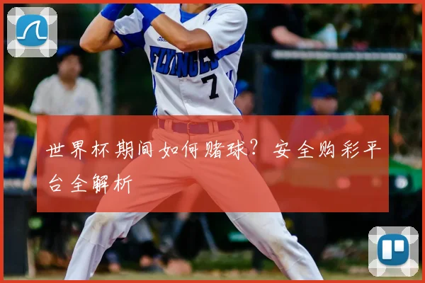 世界杯期间如何赌球？安全购彩平台全解析